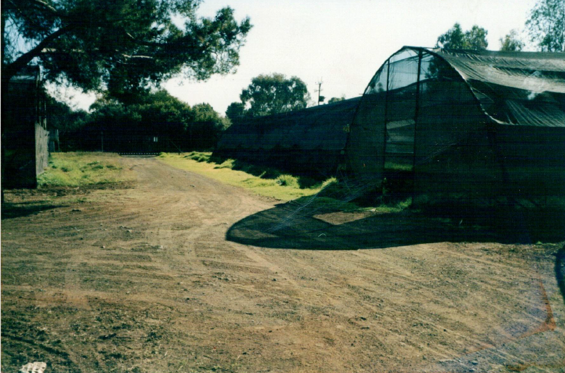 Old greenhouses