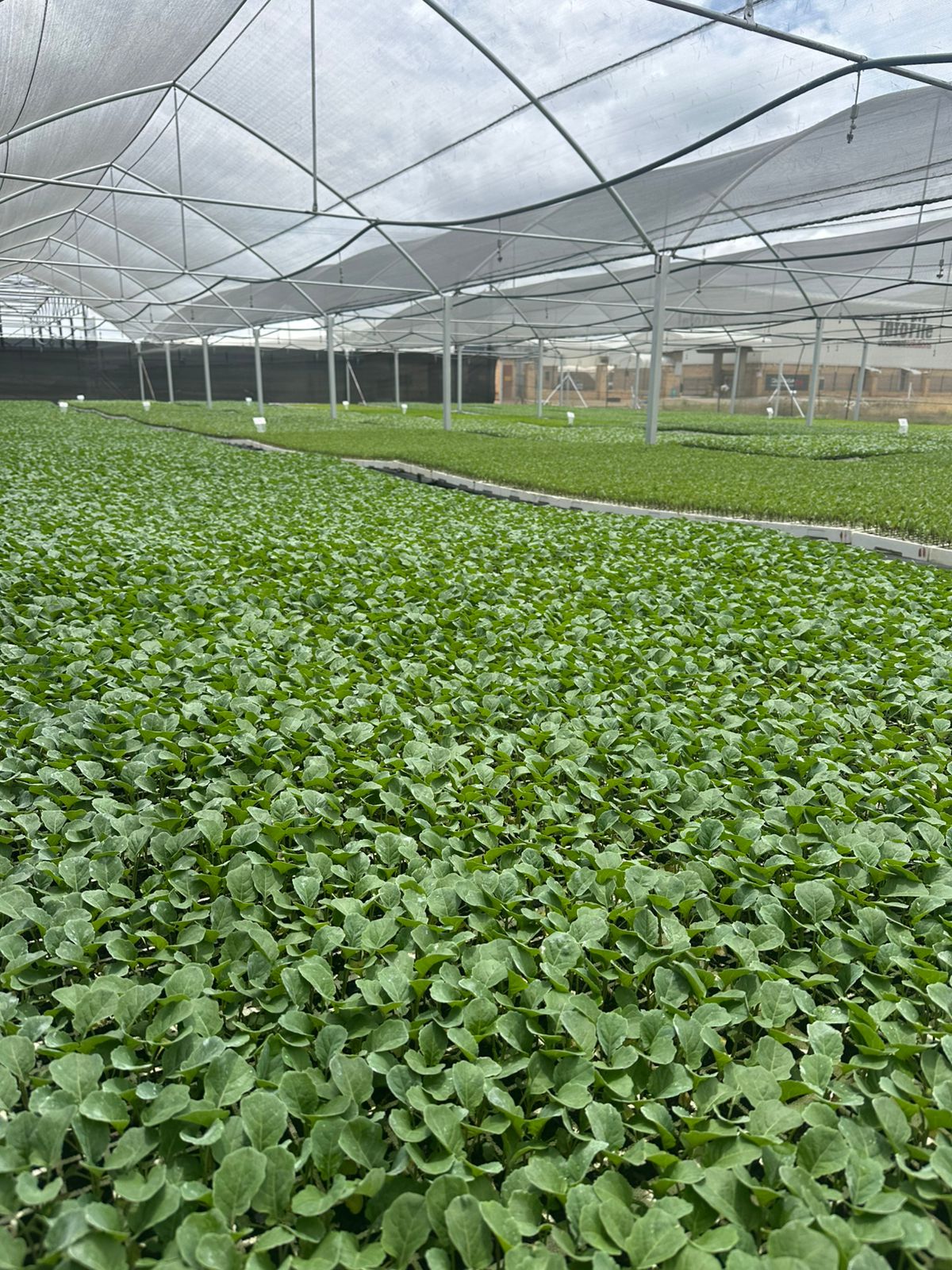Kwaggafontein Farm